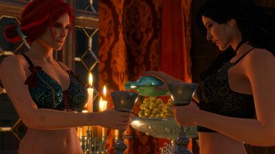 Witcher 3 Triss Or Yennefer
